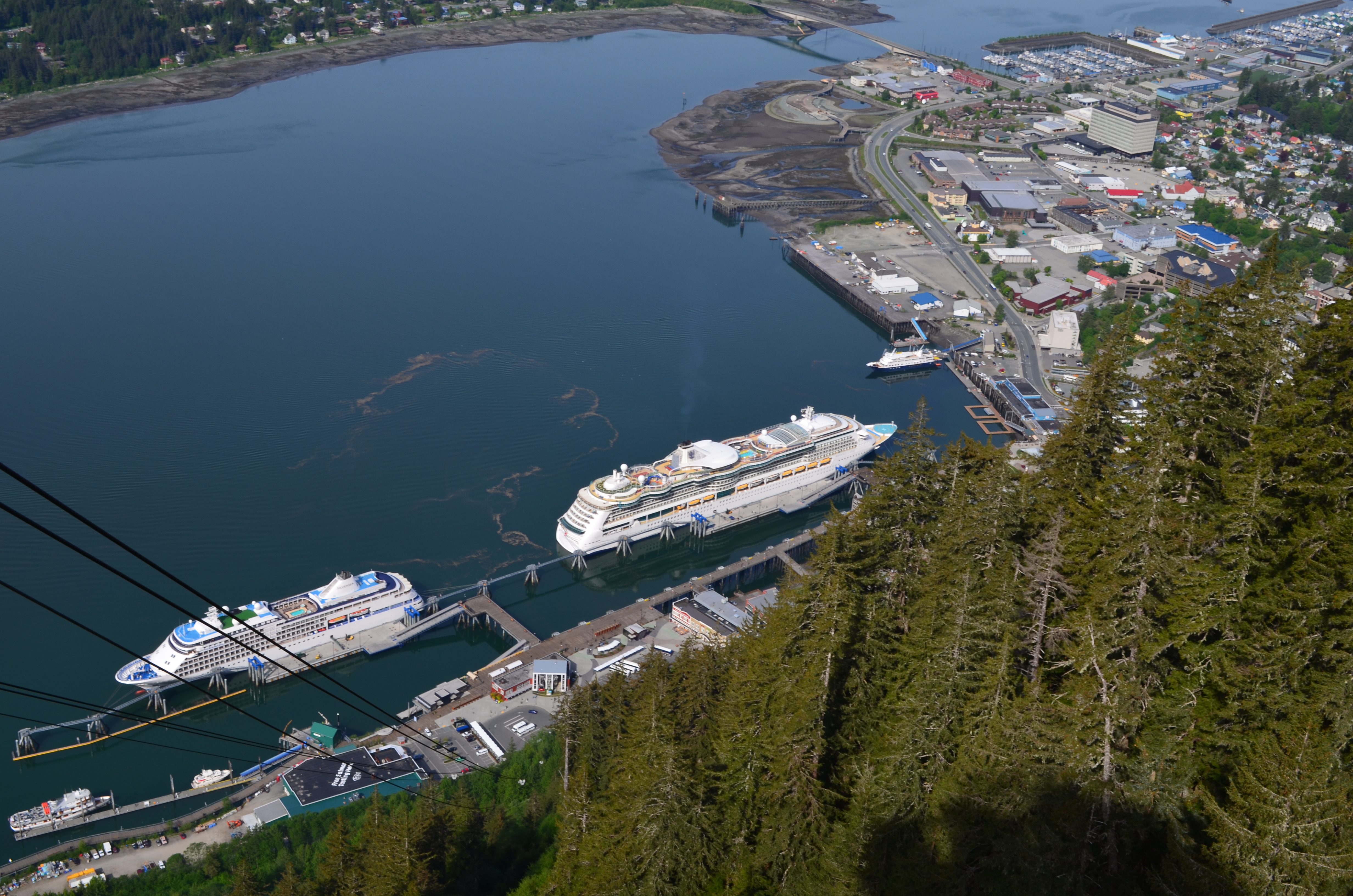 ./2017/08 - Alaska Cruise/08 - Juneau/DSC_0879.JPG